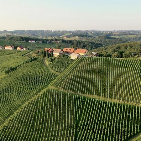 Bed and Breakfast Wine & Tourism Bracko Spodnji Jakobski Dol Exteriér fotografie