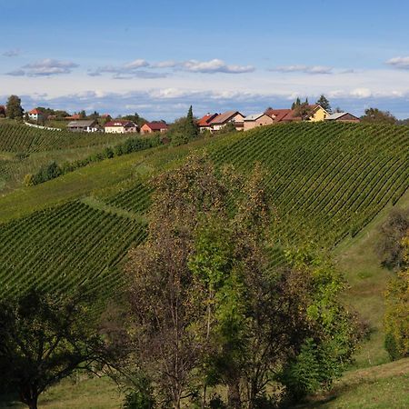 Bed and Breakfast Wine & Tourism Bracko Spodnji Jakobski Dol Exteriér fotografie