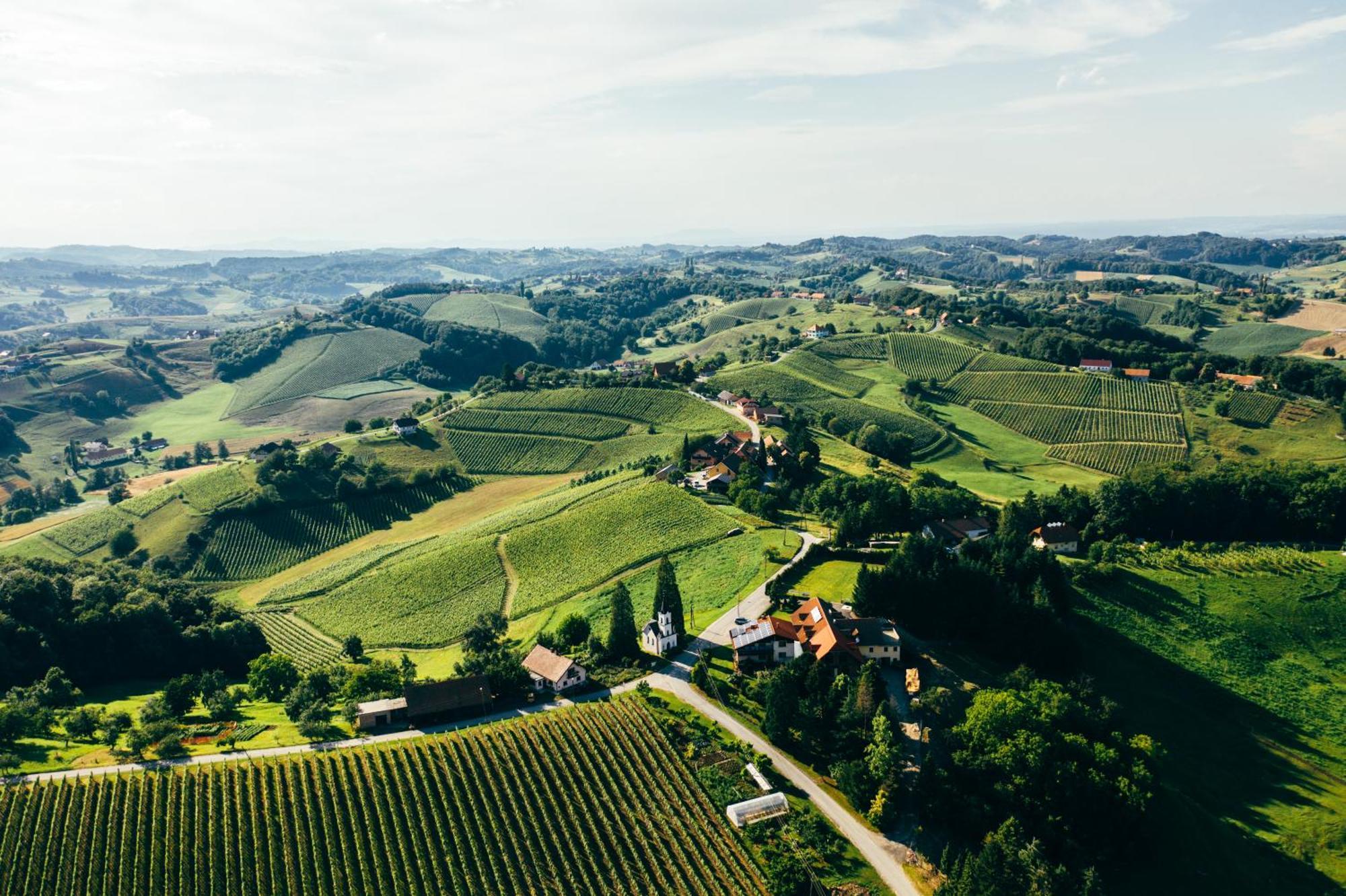 Bed and Breakfast Wine & Tourism Bracko Spodnji Jakobski Dol Exteriér fotografie