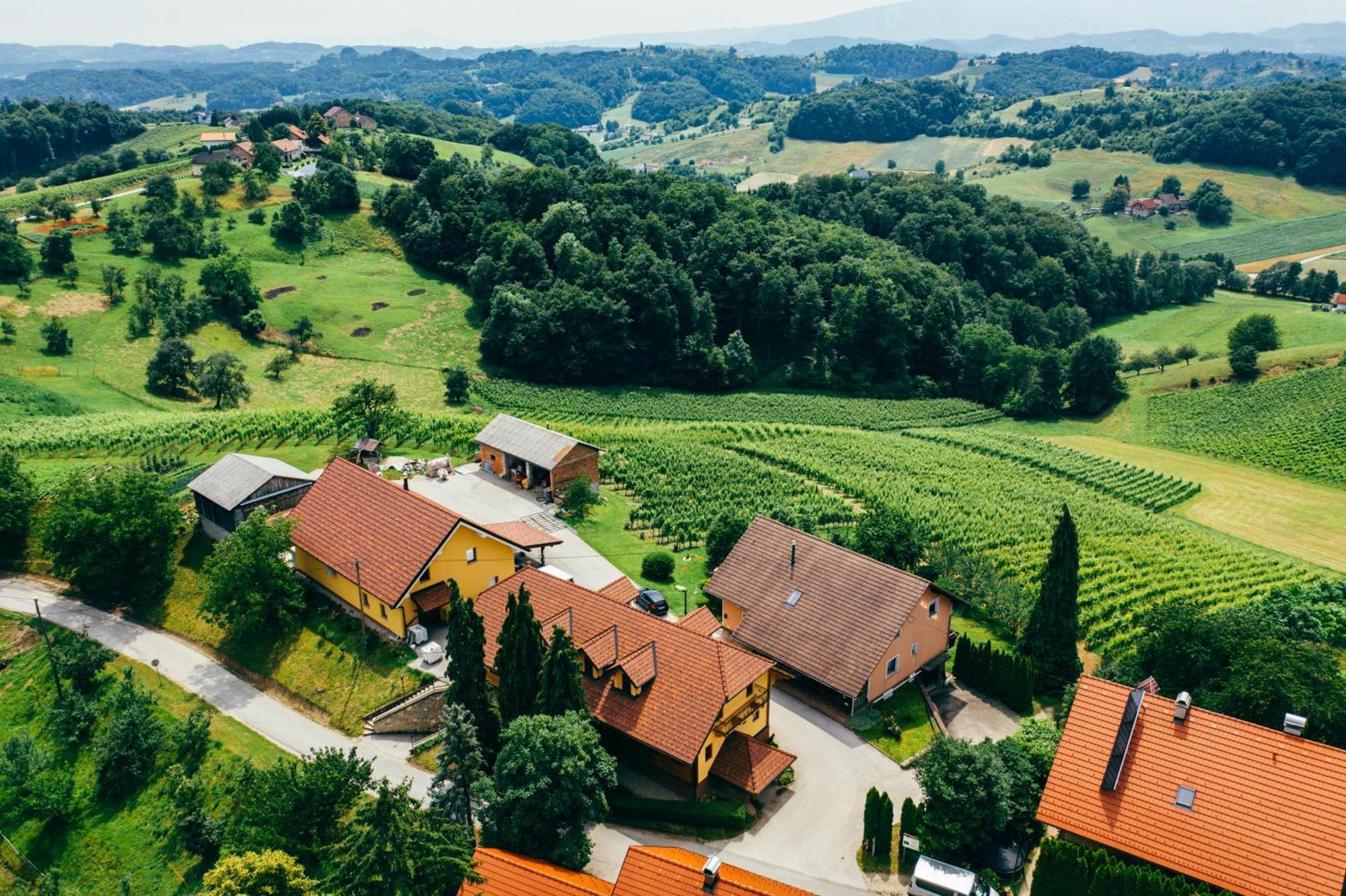 Bed and Breakfast Wine & Tourism Bracko Spodnji Jakobski Dol Exteriér fotografie